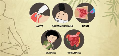 Panchakarma Therapies Understanding The Five Purificatory Therapies Of Ayurveda Happiest Health