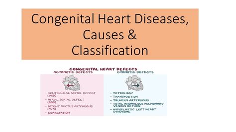Congenital Heart Disease Causes And Classification Youtube