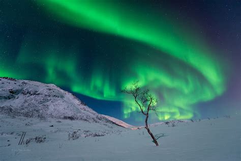 Alaska Aurora Aurora Borealis Northern Lights Nature