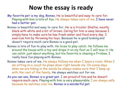 My Favourite Animal Essay In English