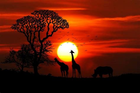 African Sunsets 15 Countries With The Most Beautiful Sunset In Africa