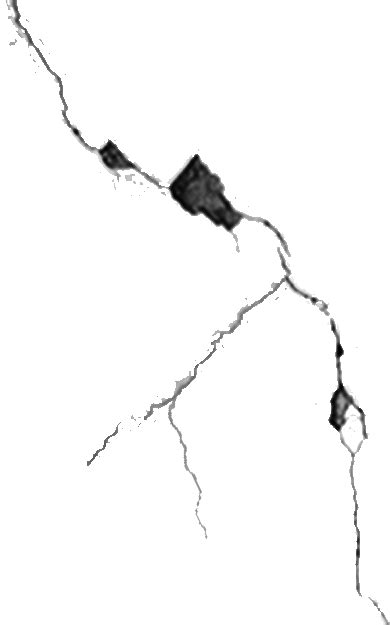 Wall Crack Transparent Background Png Clipart Hiclipart