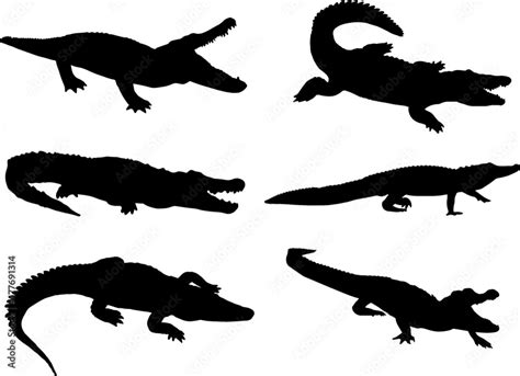 Alligator Silhouette Pack Stock Vector Adobe Stock