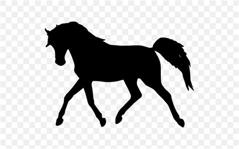 Arabian Horse Silhouette Standing Horse Png 512x512px Arabian Horse