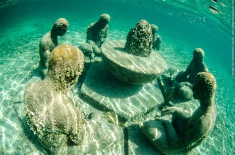 Snorkeling At Coral Reef Underwater Museum Turtles And Shipwreck