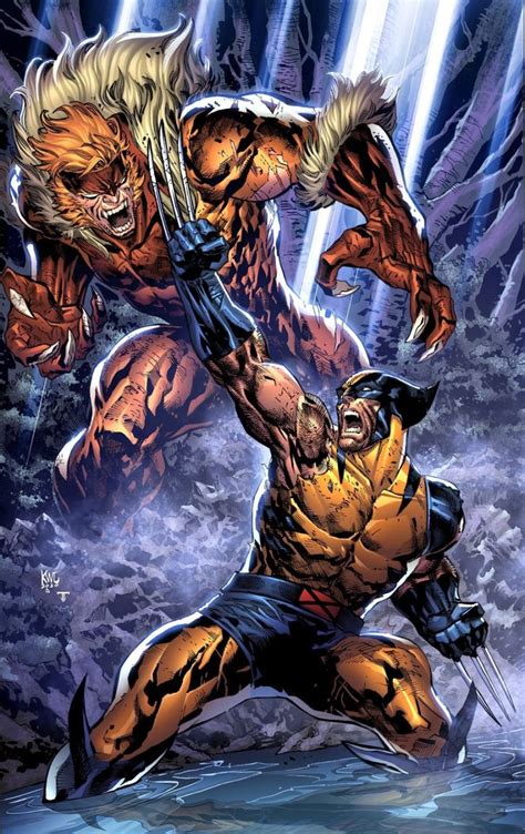 Wolverine Vs Sabretooth Ken Lashley Wolverine Comic Marvel