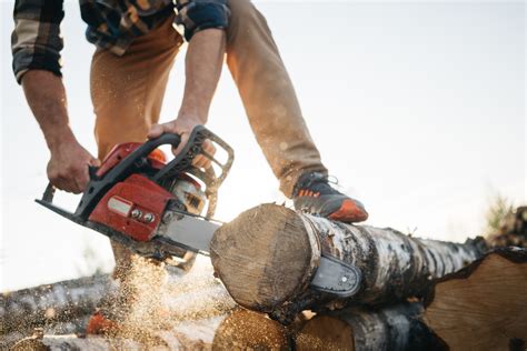 Depends on what you mean by mini gun. How Much Does a Chainsaw Weigh: A Quick Guide - Power Tool ...