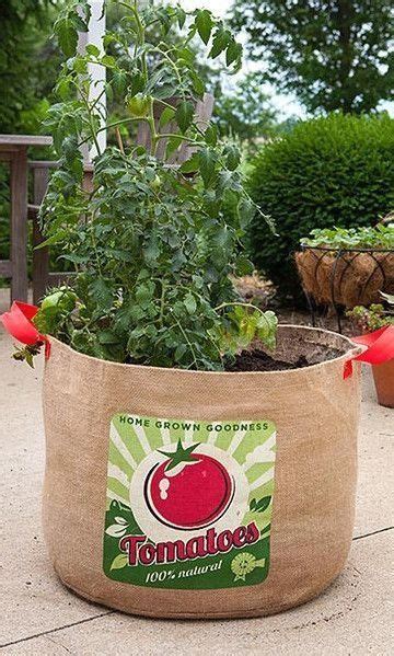 Vintage Look Burlap Tomato Grow Bag Vegetable Planters And Grow Bags