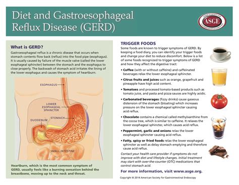 Gastroesophageal Reflux Disease Imu Computer Group Treat The