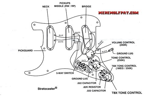 All the parts, plus a diagram to show you how. Fender Stratocaster Wiring Diagram | Free Wiring Diagram