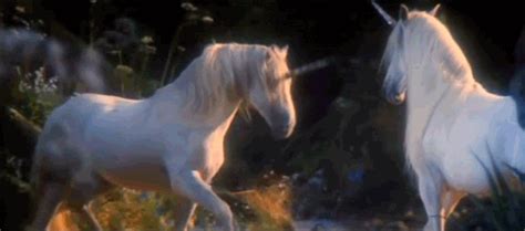Scientists Say Unicorns Were Real And Here Is What They