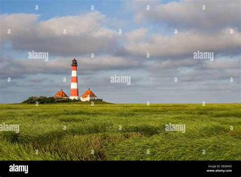 Lighthouse In The Salt Meadows At The Germany North Sea Coast Stock