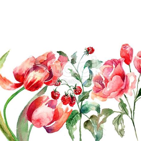 Beautiful Flowers Watercolor Painting Beautiful Flowers Stock