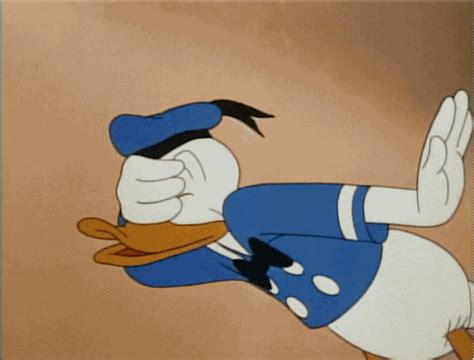 Via Giphy Disney  Funny  Donald Duck Images