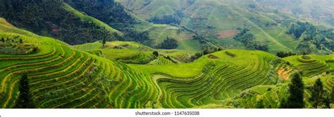 Rice Terraces Taiwan Images Stock Photos And Vectors Shutterstock