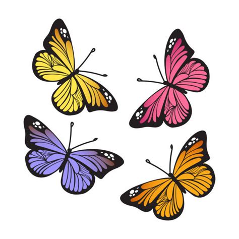 Pink Monarch Butterfly Illustrations Royalty Free Vector Graphics