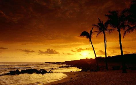 Tropical Sunsets Wallpapers Wallpaper Cave