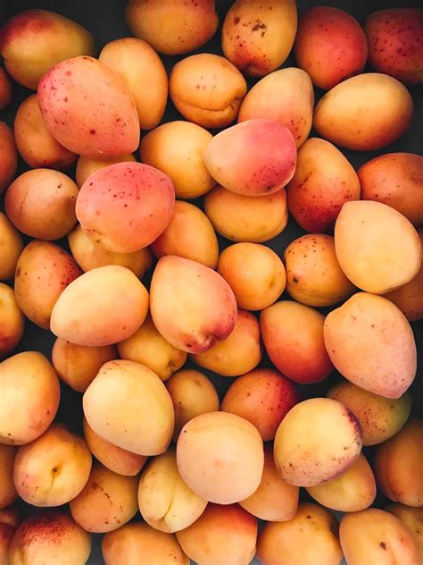 500 Mango Pictures Download Free Images On Unsplash