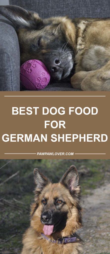 Dog ice and frosty paws; Best Dog Food For German Shepherds (Puppy) - 2019 Brands