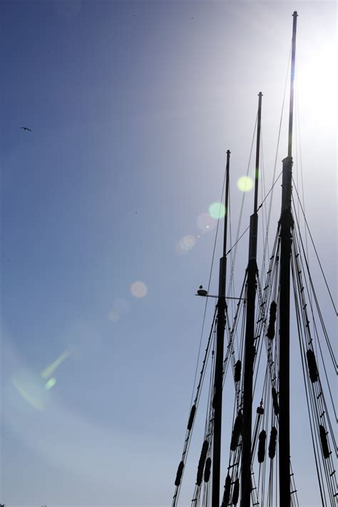 Masts Free Stock Photo Public Domain Pictures