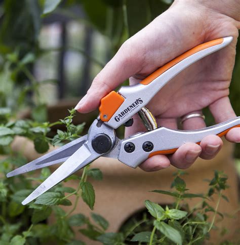 Long Snips Garden Snips With Long Blades
