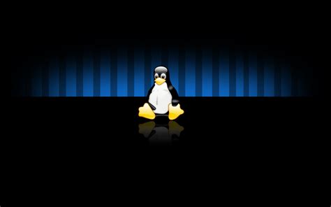 21 Linux Wallpapers Full Hd Bizt Wallpaper