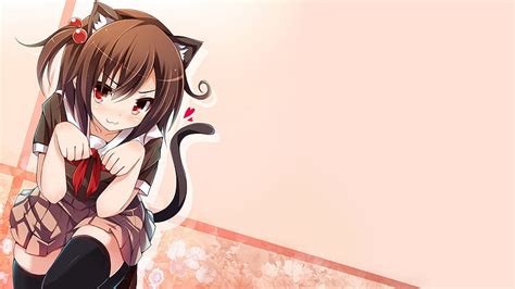 Anime Cat Girl Hd Wallpaper Pxfuel