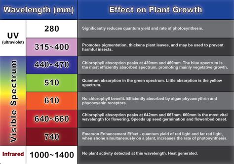 If you have to choose between one or the other, it's generally recommended to use the flowering light spectrum (more red) for the whole grow. aquaplantarium: Spektrum Cahaya yang Dibutuhkan untuk ...