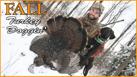 Fall Turkey Hunting With Dogs In Pennsylvania Youtube