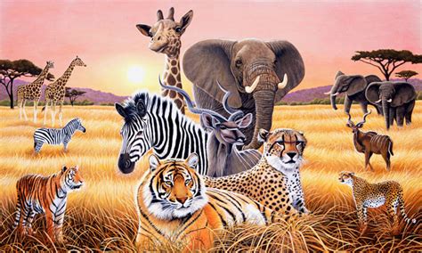 Safari Animal Wallpaper Wallpapersafari