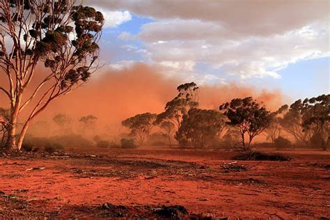 Red Dust Storm In Outback Mukinbudin Australia Landscape Western