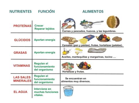 Diferencias Entre Nutrientes Y Alimentos Dietista Málaga