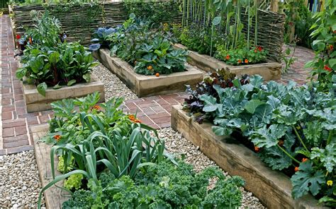 Rawson Homes Blog Sustainable Living Edible Gardens