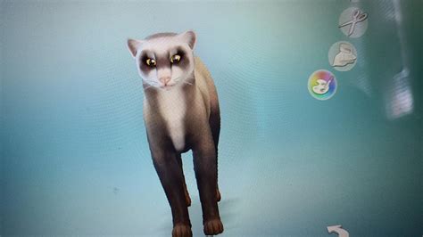 Ferret That I Made In The Sims 4 This Is In Response To The One That