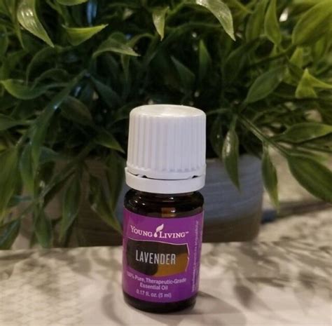 Young Living Essential Oils Lavender 5ml New Free Shipping Ebay