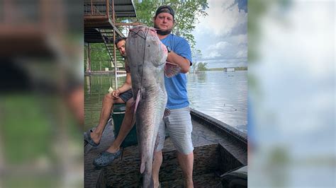 Giant Catfish Caught In Mississippi River During Memorial Day Fishing