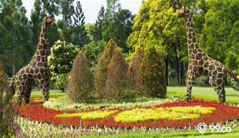 10 wisata taman bunga tercantik di indonesia cocok buat prewedding
