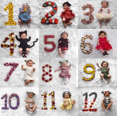 Monthly Baby Photos Flower Numbers So Cute Credits Macy Marshall