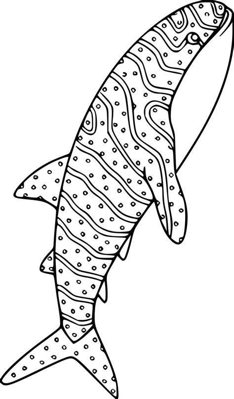 Sand Tiger Shark Coloring Pages Coloring Cool