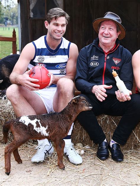 The Afl Has Tried To Reconnect With Its Roots Before And The Gather