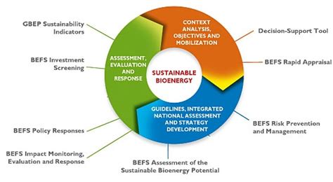 Bioenergy Energy Food And Agriculture Organization Of The United