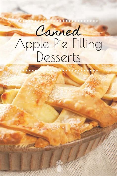 Recipees For Canned Apple Pie Filling Apple Rhubarb Pie Recipe With Canned Apple Pie Filling