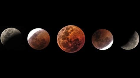 Super Blood Wolf Moon Top Lunar Eclipse Photography Tips From The