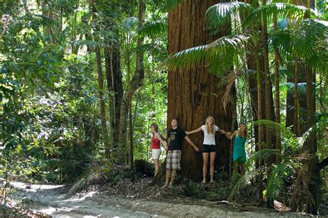 Tour Fraser Nature And Adventure Day Tours Fraser Island