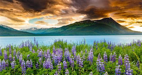 Alaskan Photo Adventuring Really Right Stuff Blog