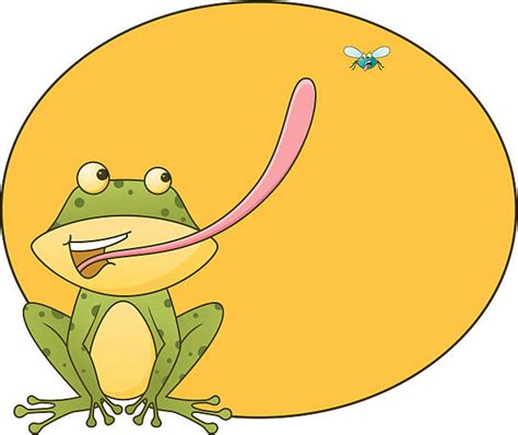Frog Catching Fly Illustrations Royalty Free Vector Graphics And Clip