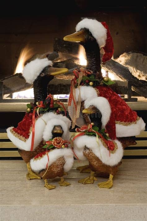 Have a magical christmas with our massive range of festive favourites to get you all set for the season. Picture of Christmas Ducks stock image. Image of lights ...