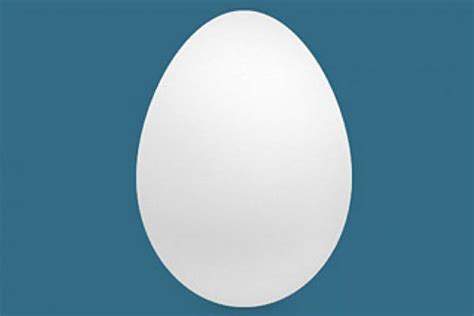 Twitter Egg Icon At Collection Of Twitter Egg Icon
