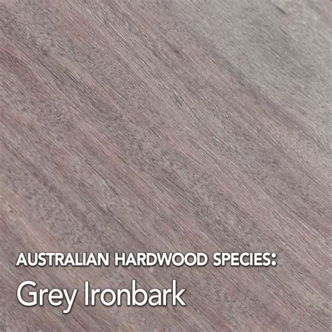 Grey Ironbark Hardwood Timber Species Data Mr Timber Flooring