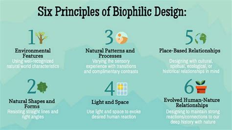 Biophilia In Office Fit Out And Design Why No Longer A Trend